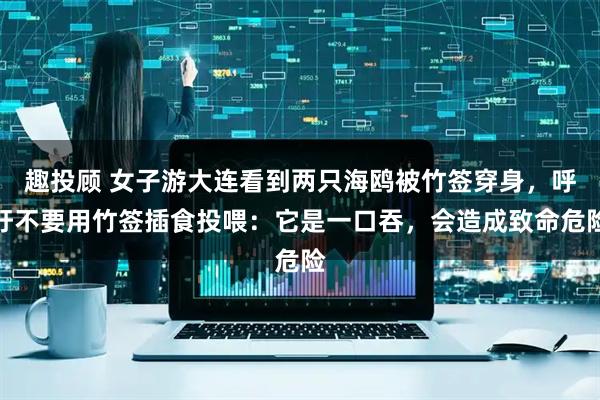 趣投顾 女子游大连看到两只海鸥被竹签穿身，呼吁不要用竹签插食投喂：它是一口吞，会造成致命危险