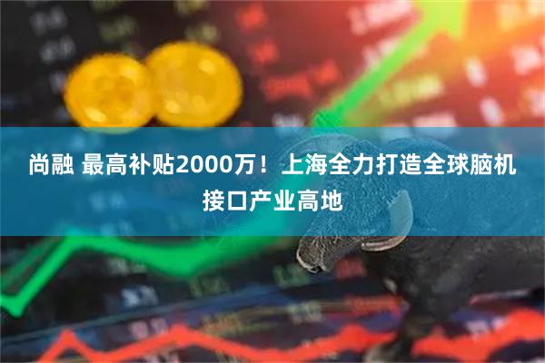 尚融 最高补贴2000万！上海全力打造全球脑机接口产业高地