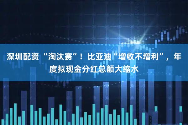 深圳配资 “淘汰赛”！比亚迪“增收不增利”，年度拟现金分红总额大缩水