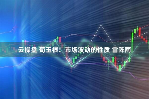 云操盘 荀玉根：市场波动的性质 雷阵雨