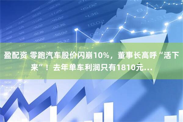 盈配资 零跑汽车股价闪崩10%，董事长高呼“活下来”！去年单车利润只有1810元…